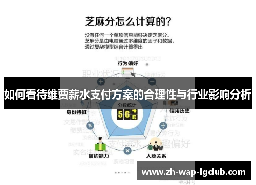 如何看待维贾薪水支付方案的合理性与行业影响分析 如何看待维贾薪水支付方案的合理性与行业影响分析