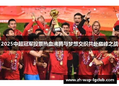 2025中超冠军投票热血沸腾与梦想交织共赴巅峰之战 2025中超冠军投票热血沸腾与梦想交织共赴巅峰之战
