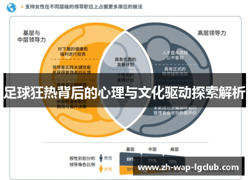 足球狂热背后的心理与文化驱动探索解析