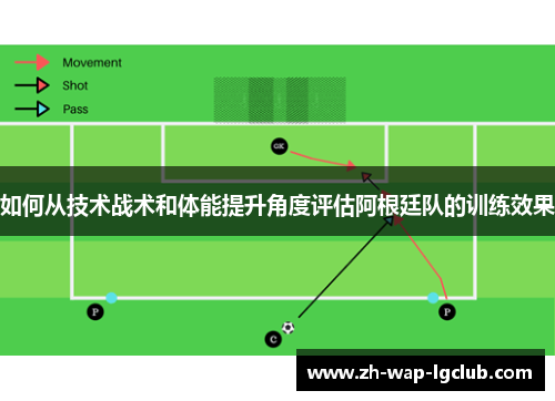 如何从技术战术和体能提升角度评估阿根廷队的训练效果