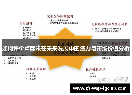 如何评价卢库米在未来发展中的潜力与市场价值分析