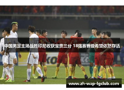 中国男足主场战胜印尼收获宝贵三分 18强赛晋级希望依然存活