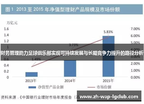 财务管理助力足球俱乐部实现可持续发展与长期竞争力提升的路径分析